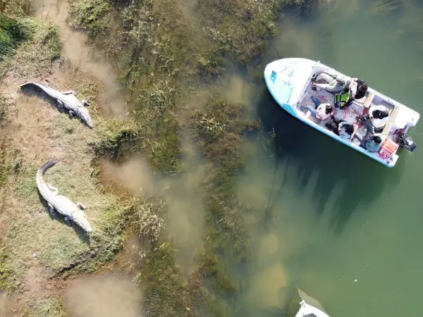 Palighat Chambal Safari
